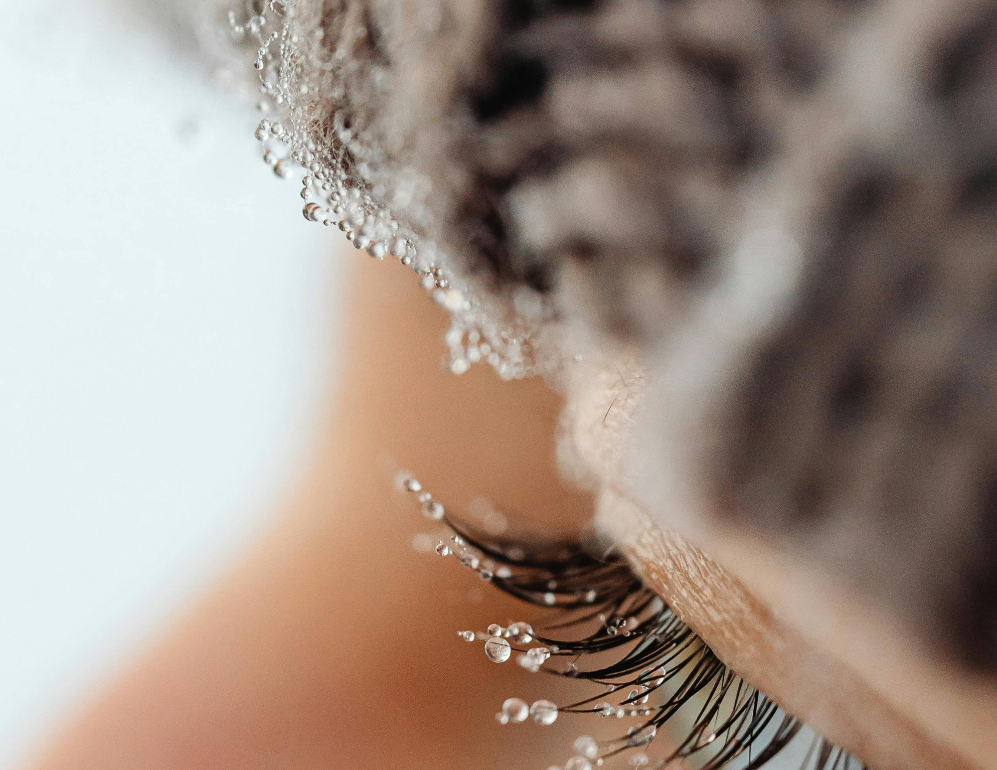 La Carte Douce Saison hiver